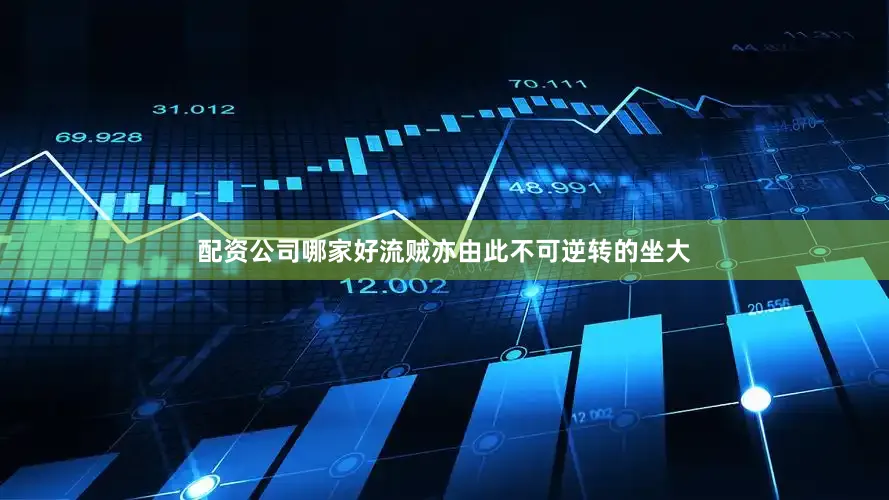 配资公司哪家好流贼亦由此不可逆转的坐大